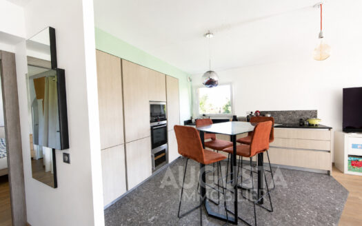 Duplex de standing à Annecy-le-Vieux