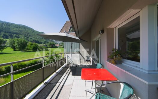 Duplex de standing à Annecy-le-Vieux