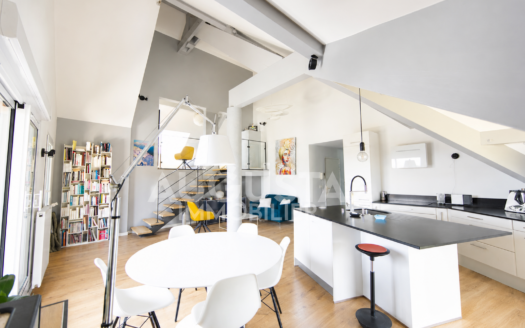 Grand appartement de standing – Annecy-le-Vieux