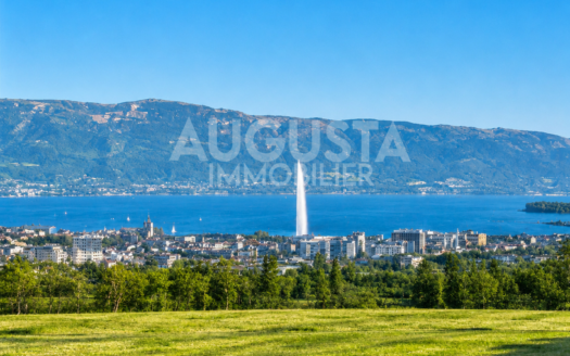 T4 d'exception proche Genève – Neydens