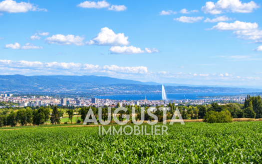 T4 d'exception proche Genève – Neydens