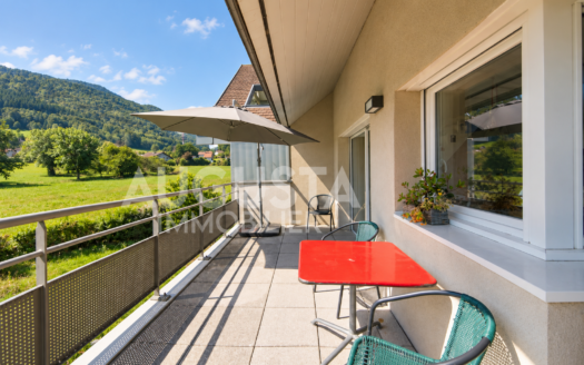 Duplex de standing à Annecy-le-Vieux