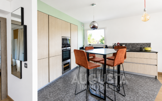 Duplex de standing à Annecy-le-Vieux