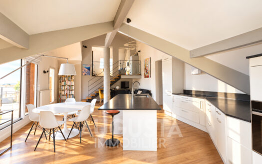 Grand appartement de standing – Annecy-le-Vieux