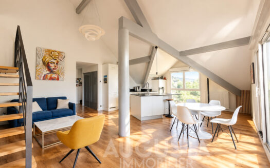Grand appartement de standing – Annecy-le-Vieux