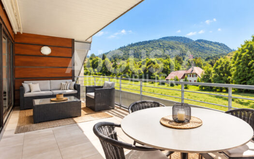 Grand appartement de standing – Annecy-le-Vieux